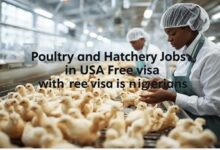 Poultry and Hatchery Jobs in USA with Free Visa for Nigerians in 2025/2026