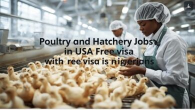 Poultry and Hatchery Jobs in USA with Free Visa for Nigerians in 2025/2026
