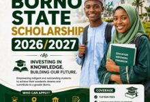 Borno State Scholarship 2026/2027