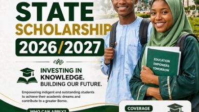 Borno State Scholarship 2026/2027